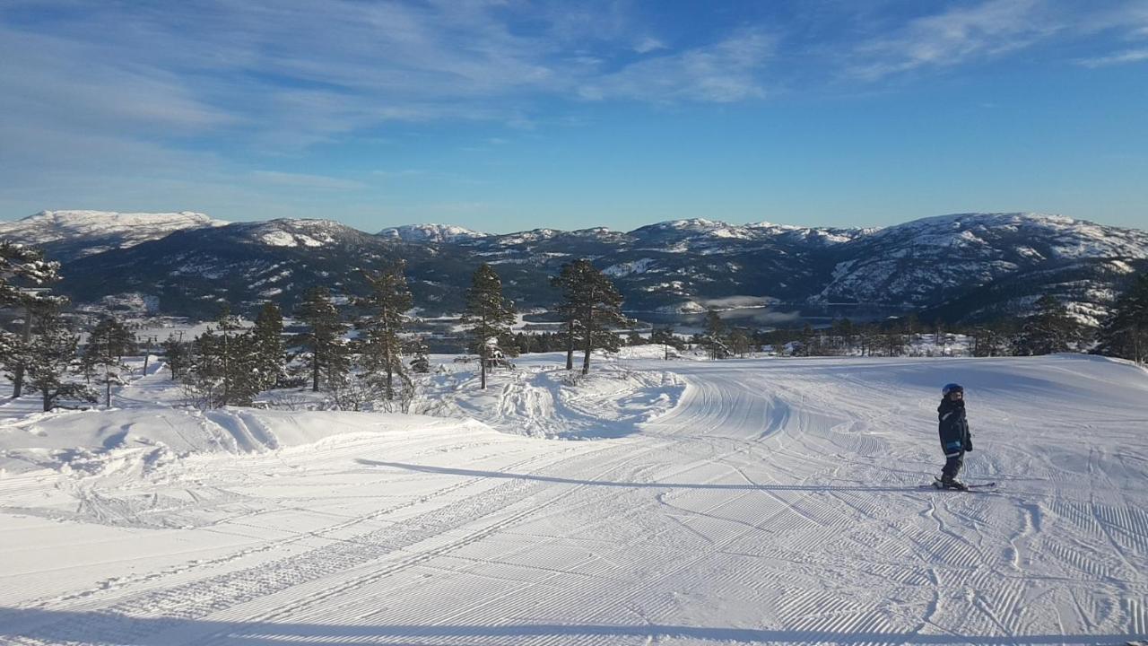 Vradal Panorama - Tiurasvegen 39ヴィラ エクステリア 写真