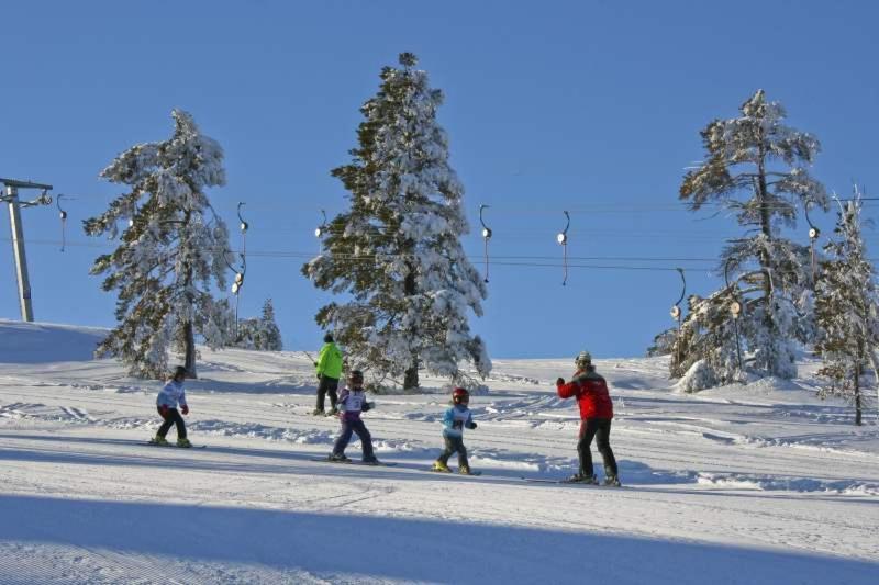 Vradal Panorama - Tiurasvegen 39ヴィラ エクステリア 写真