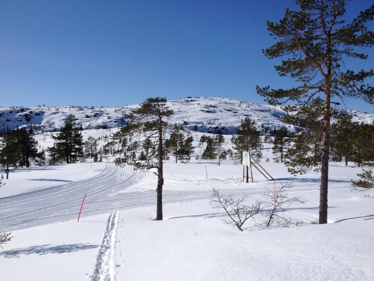 Vradal Panorama - Tiurasvegen 39ヴィラ エクステリア 写真